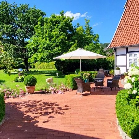 Garten_03
